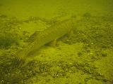 2009-08-01 16-14-37S